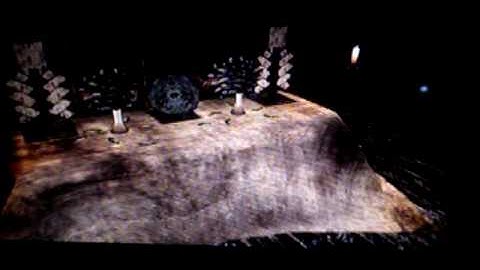 Ghost fight (Fatal Frame 2)