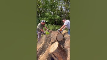 Poulan 4200 vs different stock Stihl 400c