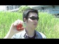 カチドキと極ロックシード、他で遊んでみた
