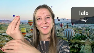 Turkish Sign Language | Türk İşaret Dili (TİD)