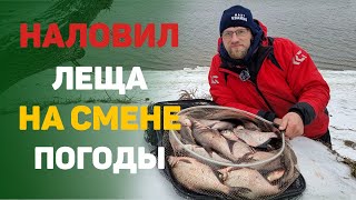 Наловил леща после диких морозов