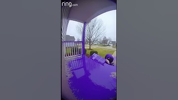 Hij raakte het aan alsof de gevolgen niet bestonden #RingDoorbell #Pakketdiefmislukt #Verfexplosi...