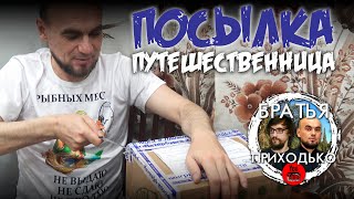 Посылка путешественница