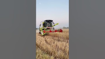 Vishal 435 Ac Cabin Harvester #tranding #combineharvester #shortvideo