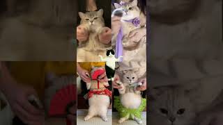 Meet Ethel The Cat The Internets Newest Viral Sensation Uiia Ie Ia Io Ai