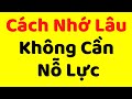 Cách Nhớ Lâu Không Cần Nỗ Lực | Bí Quyết Học Thuộc Lòng