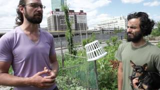 A tour of Smiling Hogshead Urban Farm in Queens New York
