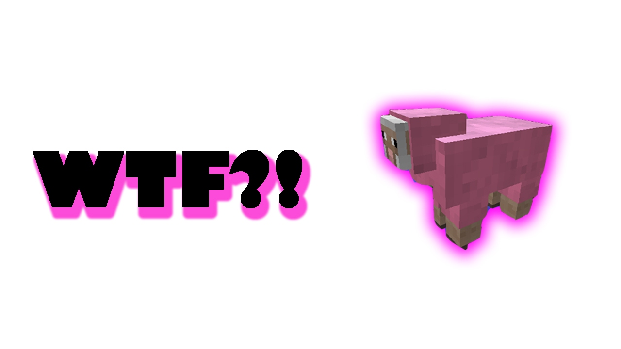 Minecraft | SurvivalSMP #1 | OAIE ROZ?! - YouTube