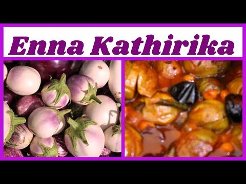 Ennai Kathirikai Kulambu | எண்ணெய் கத்தரிக்காய் குழம்பு | Brinjal Gravy | Tamil | Sona Samayal