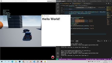 Unreal Airsim Pygame control