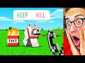 Viewers Decide What I Do In Minecraft For A Day!
