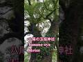 玉祖神社に参拝 Tamano-oya Shrine Japan travel 日本旅371