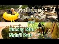 Gatlinburg  pigeon forge  smoky mtn natl park  nature trails tubing rafting  zoo