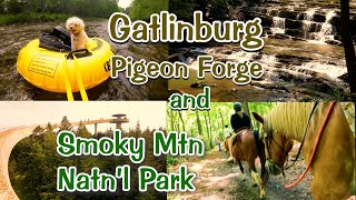 Gatlinburg - Pigeon Forge - Smoky Mtn Nat'l Park - Nature Trails, Tubing, Rafting & Zoo by TampaAerialMedia 40,664 views 9 months ago 30 minutes