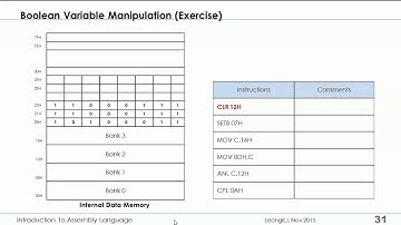 8051 Boolean Variable Instructions