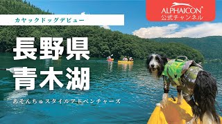 [長野県青木湖で楽しむ！]ALPHAICON カヤックドッグデビュー フルドッグガード 機能性犬服[アルファアイコン][あそんちゅスタイル]