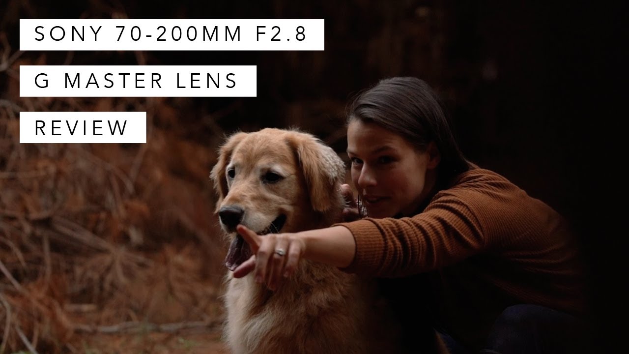 Sony 70-200mm f2.8 GM Lens Review (and video!) - Andy's Travel Blog