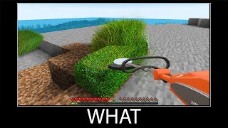 Minecraft wait what meme part 219 realistic minecraft Grass