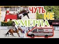 МОЯ УЖАСНАЯ ИСТОРИЯ/КОННАЯ ВЕРСИЯ🐎/equi talk