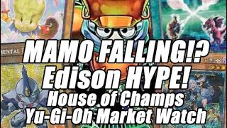 MAMO FALLING ALREADY!? Edison HYPE!! House of Champs Yu-Gi-Oh Market Watch