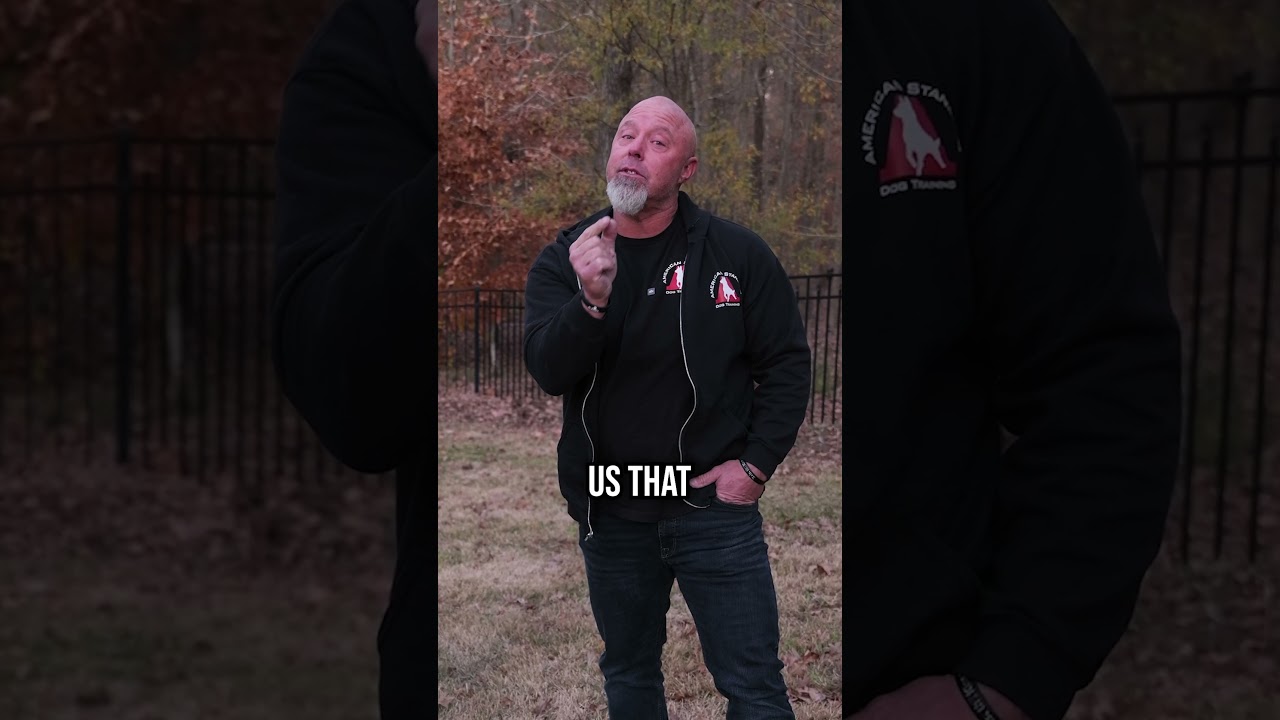 Can Bloodhounds REALLY Be Trusted for Police Work?