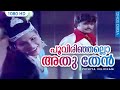     poovirinjallo  puthiya velicham  malayalam film song  jayan