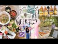 PRODUCTIVE WEEK IN MY LIFE | good food, korean skincare, new hair, first day of school, grocery haul