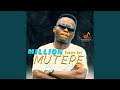 Mahuwelele 