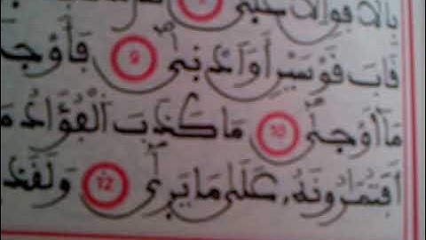 ما تيسّر من سورة النّجم، بتجويد القارئ الشّيخ الصديقي سيدي فوزي، بحسب رواية ورش عن نافع