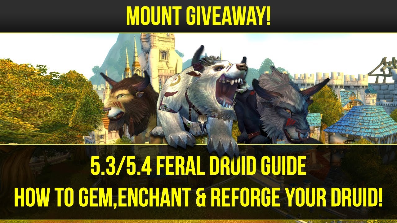 5.3/5.4 Feral Druid Guide - How to Gem,Enchant & Reforge your druid!