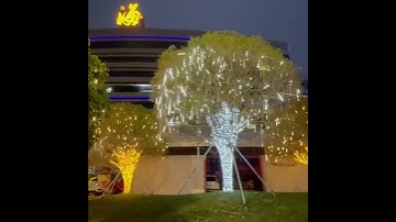 Luz De Lluvia Meteor Series 10 Tubos Luces Led Navideñas