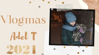 Vlogmas 2020/2021 /мой день / У Васьки есть куртка?/ с новым годом