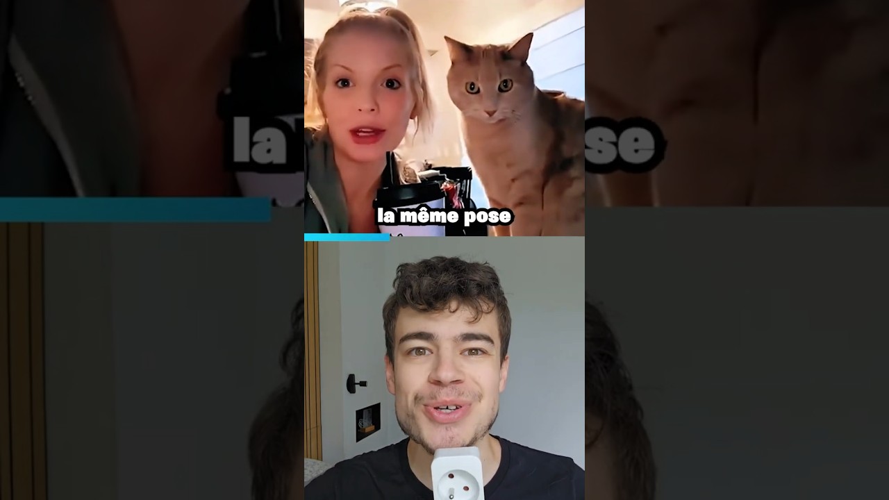 Animaux imitant les humains