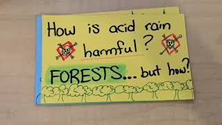 UCI - ICS 5 Assignment Video: Acid Rain Damages Forests