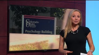 Record enrollment at local universities
