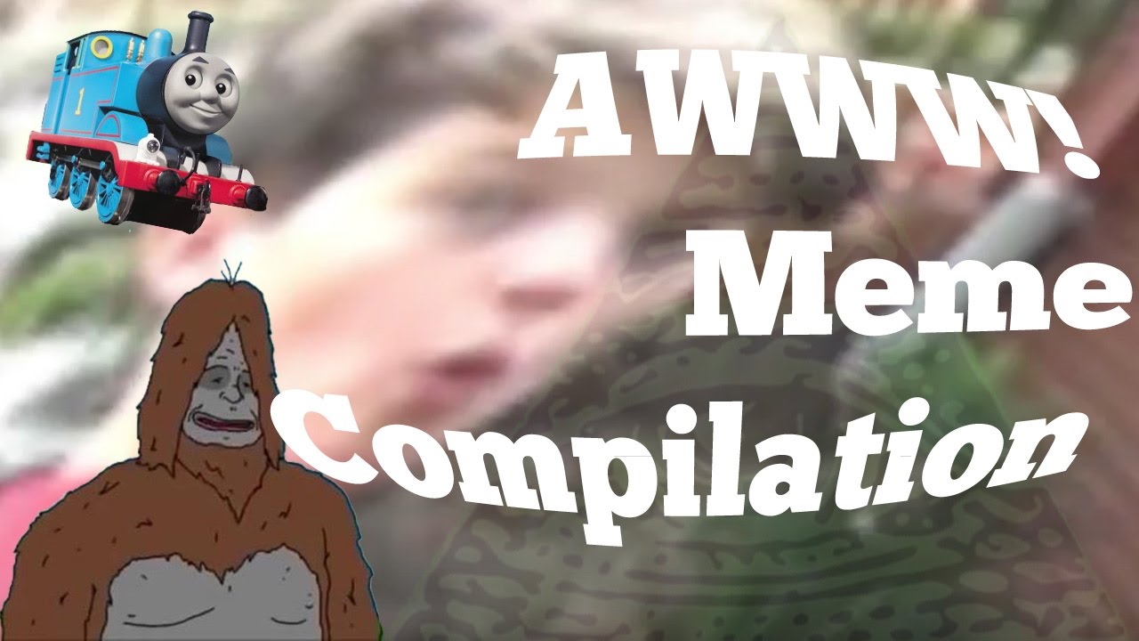 awww! meme compilation youtube maxresdefault awww! meme compilation youtube,Awww Meme