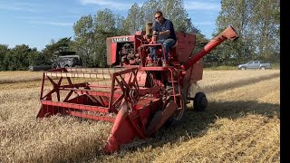 Vintage Combine Massey Ferguson 31