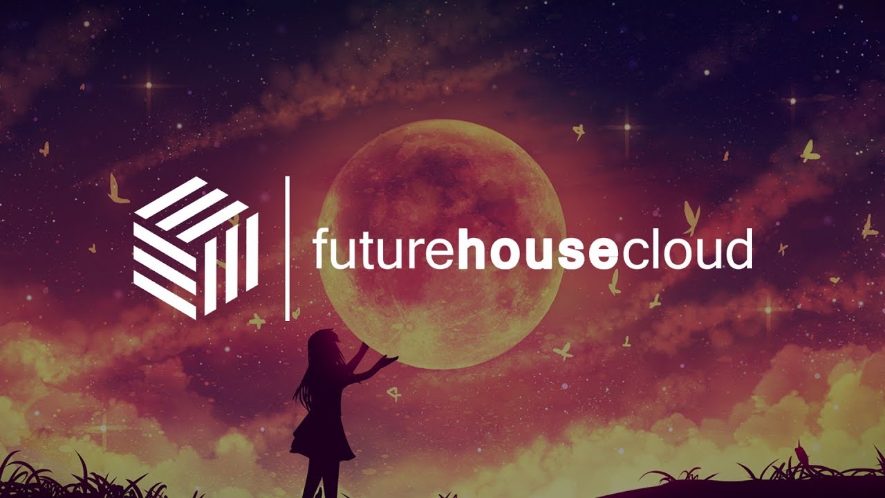 Manz Hoffman & SNGR - Feelings