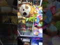 Sloth prize claw machine winner
