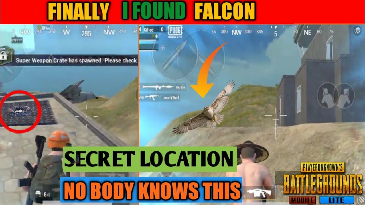 FINALLY I FOUND FALCON COMPANION SECRET LOCATION NO 