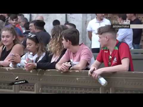 SEGNATURA CAVALLI 13-08-2019