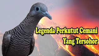 Legenda burung perkutut cemani