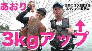 【奇跡のコラボ②！神サイズのあおりイカゲット！？in 和歌山 】まさかの３kgアップ！！？？？湯川マサタカと辺見哲也コラボ企画！！