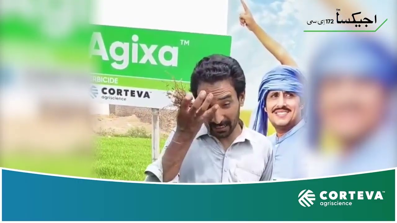 Agixa |The Secret to a Weed-Free | Profitable Rice Crop