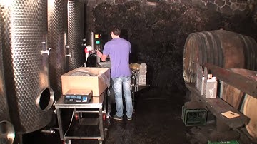 Automatic wine filling in  bag in box