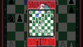 Gm Magnus Carlsen - Evans Gambit