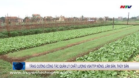 Tăng cường công tác quản lý chất lượng VSATTP nông, lâm, thủy sản