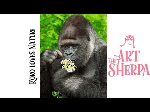 How to paint Koko the Gorilla  step by step Acrylic for beginners