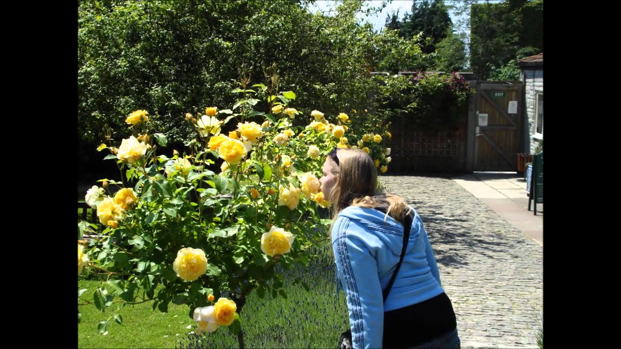 Blackwater Side - Sandy Denny