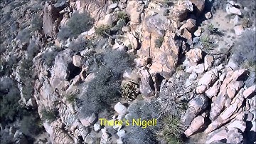 Joshua Tree, The Underground, Heart of the Universe